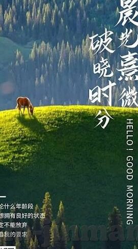 91麻豆黄色视频-影视鉴赏新角度，优质网络视频的内容与价值剖析
