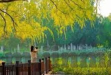成人免费观看视频完整-与网络伦理，界限与责任