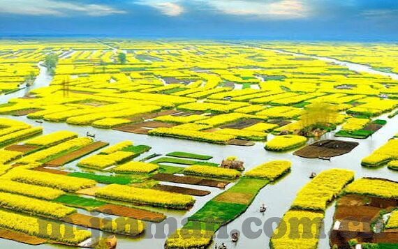 果冻传媒出品-探索果冻传媒出品的创意与魅力