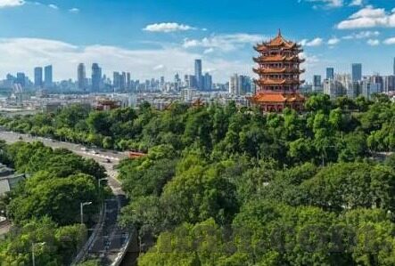 麻豆av在线播放-揭秘麻豆av在线播放，互联网非法内容之殇与守卫网络健康的呼吁