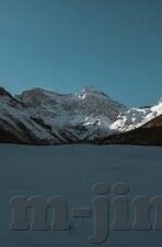 麻豆永久免费视频-揭秘网络迷雾，麻豆视频——免费背后的虚实之辨