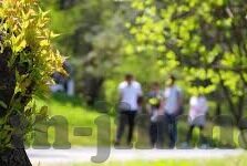 欧美成人视频-欧美成人视频，文化、社会与个人选择的交汇点