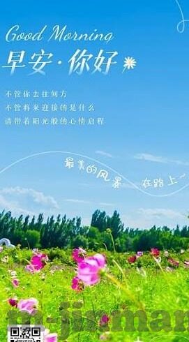 视频一区二区-视频一区二区，数字时代的娱乐新维度