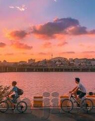 糖心vlog色版-品糖心得，Vlog的魅力探索之行